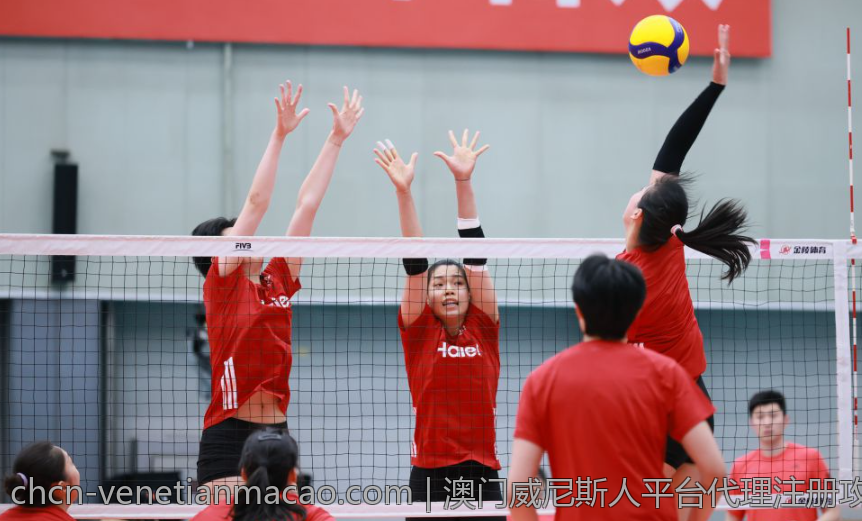 澳门威尼斯人平台代理注册攻略